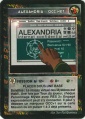 Alexandria occ net.jpg
