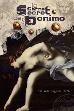 Illustration de Carnet secret de Domino