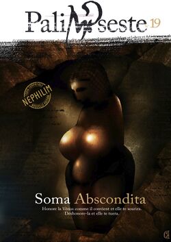 Illustration de Palimpseste 19