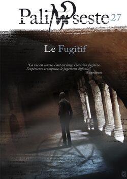 Illustration de Palimpseste 27